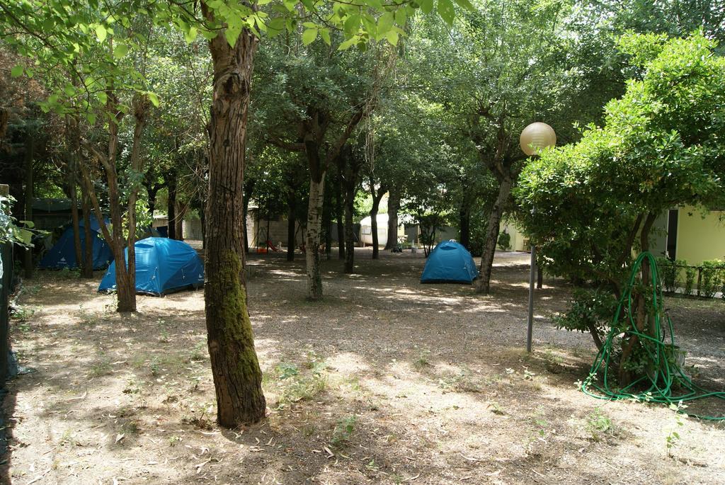 多塞索乐露营地 马里纳迪马萨 客房 照片